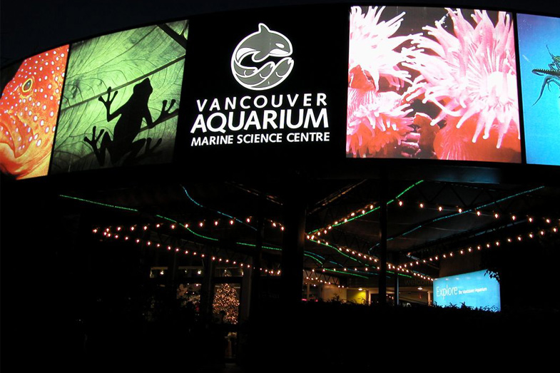 Wesley Wenhardt - Aquaquest – Vancouver Aquarium