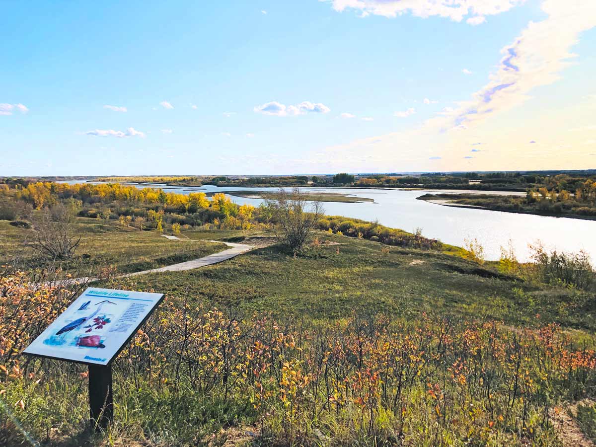 Wesley A. Wenhardt - Meewasin Valley Authority